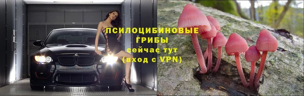 сатива Армянск