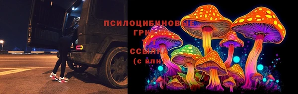 круглые Аркадак