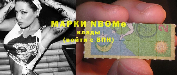 сатива Армянск